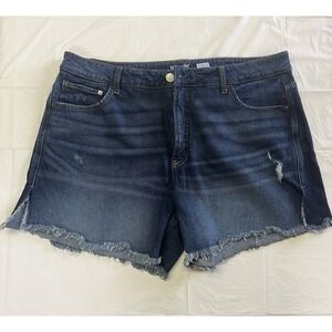 Terra & Sky Denim Blue Shorts Womens Size 18W